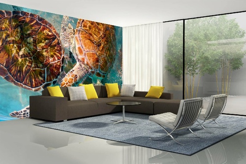 Vlies Fototapete - Schildkröten in karibischem Wasser 375 x 250 cm